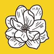 Flower doodle N355