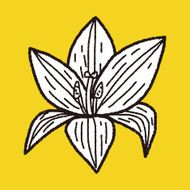 Flower doodle N360