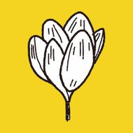 Flower doodle N361