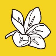 Flower doodle N364