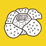 Flower doodle N367