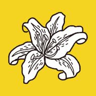 Flower doodle N370