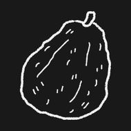 guava doodle N5