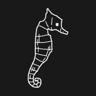 Hippocampus doodle N2