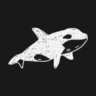 Killer Whale doodle N3