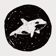 Killer Whale doodle N4