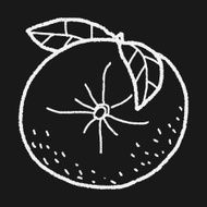 orange doodle N6