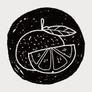 orange doodle N11