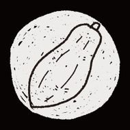 papaya doodle N5