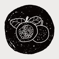Passion Fruit doodle N10