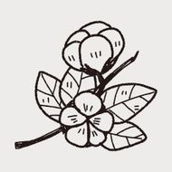 plant doodle N160