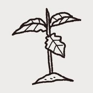 plant doodle N164