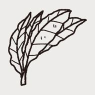 plant doodle N193