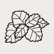 plant doodle N195