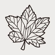 plant doodle N203