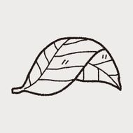 plant doodle N204