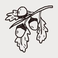 plant doodle N205