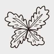 plant doodle N206