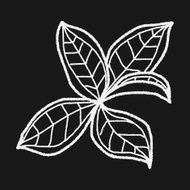 plant doodle N217