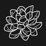 plant doodle N220
