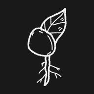 plant doodle N228