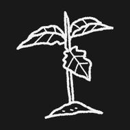 plant doodle N233