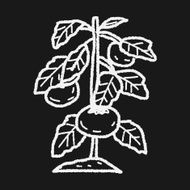plant doodle N234