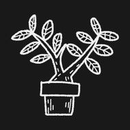 plant doodle N239