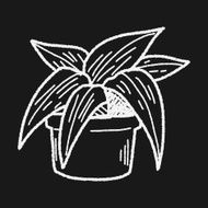 plant doodle N241