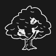 plant doodle N242