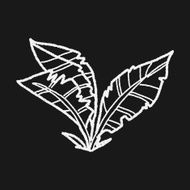 plant doodle N253