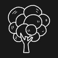 plant doodle N254