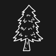 plant doodle N258