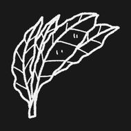 plant doodle N263