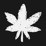 plant doodle N264