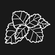 plant doodle N265
