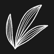 plant doodle N266