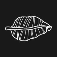 plant doodle N272