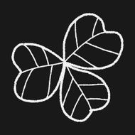 plant doodle N278