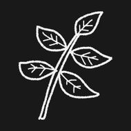 plant doodle N280