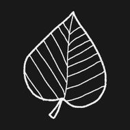 plant doodle N283