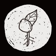 plant doodle N298