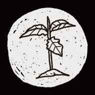 plant doodle N303