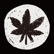 plant doodle N334