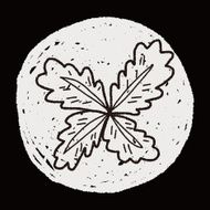 plant doodle N347