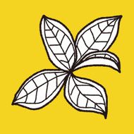 plant doodle N429