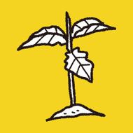 plant doodle N445