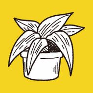plant doodle N452