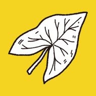 plant doodle N476