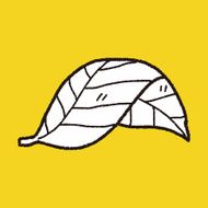 plant doodle N481